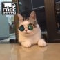 Fashion Glasses Small Pet Dogs Cat Glasses Sunglasses Eye-wear Protection Pet