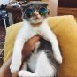 Fashion Glasses Small Pet Dogs Cat Glasses Sunglasses Eye-wear Protection Pet