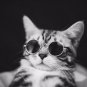 Fashion Glasses Small Pet Dogs Cat Glasses Sunglasses Eye-wear Protection Pet