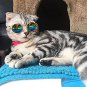 Fashion Glasses Small Pet Dogs Cat Glasses Sunglasses Eye-wear Protection Pet
