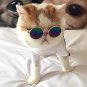 Fashion Glasses Small Pet Dogs Cat Glasses Sunglasses Eye-wear Protection Pet