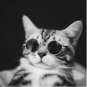 Fashion Glasses Small Pet Dogs Cat Glasses Sunglasses Eye-wear Protection Pet