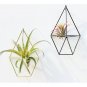 Hanging Planter Iron Vase Geometric Wall Decor Container Succulent Plant Art Pot