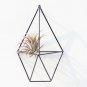 Hanging Planter Iron Vase Geometric Wall Decor Container Succulent Plant Art Pot