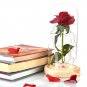 Enchanted Rose Flower Lamp Beauty And The Beast Perfect Gift