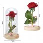 Enchanted Rose Flower Lamp Beauty And The Beast Perfect Gift