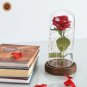 Enchanted Rose Flower Lamp Beauty And The Beast Perfect Gift New 2018