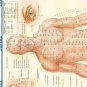 New Meridian Energy Pen Electronic Acupuncture Pain Relief Massage