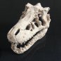 Dinosaur Skull Aquarium Decoration Terrarium Reptile Fish Tank Ornament