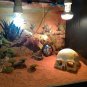 Dinosaur Skull Aquarium Decoration Terrarium Reptile Fish Tank Ornament