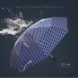Compact Travel Strongly Windproof Umbrella Auto Open Close Folding Rain Anti UV