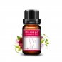 Hip Lift Up Bigger Buttock Skin Care Massage Cream Breast - Sexy Back Sexy Lady