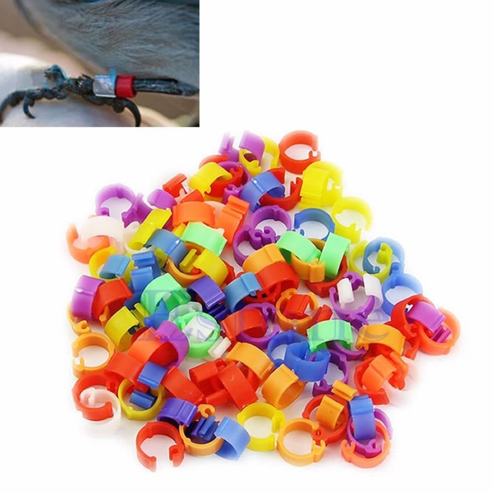 100-pcs-Birds-Leg-Clips-Pigeon-Rings-Bands-with-Number-1-100-Plastic