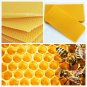 30Pcs Honeycomb Foundation Bee Hive Wax Frames Waxing Beekeeping Equipment Bee H