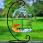 Transparent Hanging Glass Vase Container Terrarium Plant Fish Flower Pot Vase