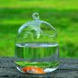 Transparent Hanging Glass Vase Container Terrarium Plant Fish Flower Pot Vase