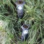 6 LED Solar Camping Hiking Light Hand Crank Tent Lamp USB Rechargeable Portable