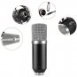 NW-700 Professional Studio Broadcasting Recording Condenser Microphone