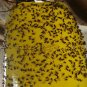 10Pcs Outdoor Flies Control Glue Trap Board Mosquito Flying Aphids whitefly leaf