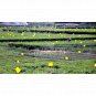 10Pcs Outdoor Flies Control Glue Trap Board Mosquito Flying Aphids whitefly leaf