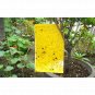 10Pcs Outdoor Flies Control Glue Trap Board Mosquito Flying Aphids whitefly leaf