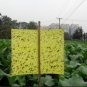 10Pcs Outdoor Flies Control Glue Trap Board Mosquito Flying Aphids whitefly leaf