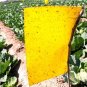 10Pcs Outdoor Flies Control Glue Trap Board Mosquito Flying Aphids whitefly leaf