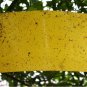 10Pcs Outdoor Flies Control Glue Trap Board Mosquito Flying Aphids whitefly leaf