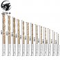 Drill Bit 13pcs Bits Set Tools Screw Extractor Woodworking Power Six Angle Metal