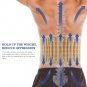 Hailicare Latest Lower Back Support Belt Back Brace Decompression Extender Belt