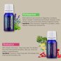 6pcs/Pack Pure Aromatherapy Essential Oil for Air Diffuser Aroma Humidifier US