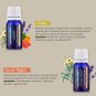 6pcs/Pack Pure Aromatherapy Essential Oil for Air Diffuser Aroma Humidifier US