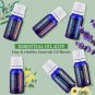 6pcs/Pack Pure Aromatherapy Essential Oil for Air Diffuser Aroma Humidifier US