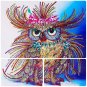 DIY 5D Owl Diamond Embroidery Painting Cross Stitch Craft Kit Home Decoration