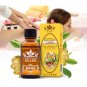 Plant Therapy Lymphatic Drainage Ginger Oil Free Shipping