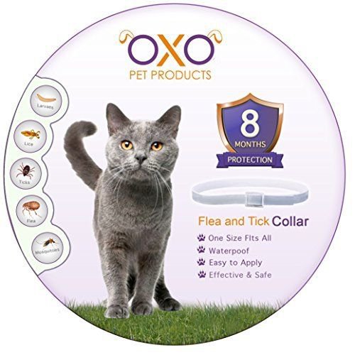 NEW Natural Cat Flea and Tick Collar Adjustable Waterproof Lasts Up To 8 Month