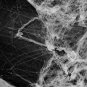 Halloween Scary Party Scene Props White Stretchy Spider Web Horror Decoration