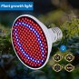 Full Spectrum LED Grow Light 200LED Growing Lamp for Indoor Plants Hydroponic