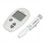 Handheld Electronic Digital Glucometer Blood Sugar Glucose Diabetics Monitor Set