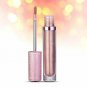 Newest Holographic Lipgloss Metallic Diamond Lip Gloss Waterproof Lasting Matter