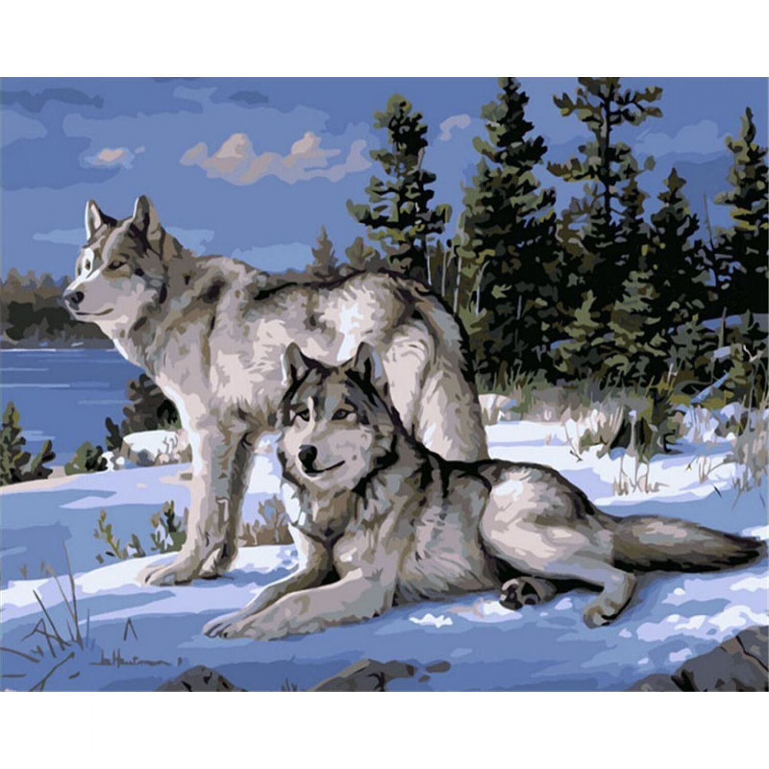 No Frame Wolf Animals DIY Painting By Numbers Kits Paint On Canvas Acrylic Color