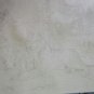 No Frame Wolf Animals DIY Painting By Numbers Kits Paint On Canvas Acrylic Color