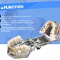 Dental Implant Disease Teeth Model Restoration Overdenture Demo Implants Tooth
