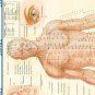 Electronic Aupuncture Pen Electric Meridians Laser Acupuncture Machine Magnet