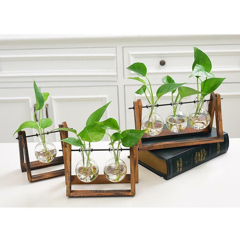 LanLan Creative Plant Glass Hydroponic Container Terrarium Desk Decor With Wood
