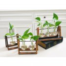 LanLan Creative Plant Glass Hydroponic Container Terrarium Desk Decor With Wood