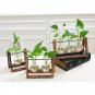LanLan Creative Plant Glass Hydroponic Container Terrarium Desk Decor With Wood