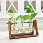 LanLan Creative Plant Glass Hydroponic Container Terrarium Desk Decor With Wood