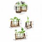 LanLan Creative Plant Glass Hydroponic Container Terrarium Desk Decor With Wood