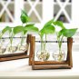 LanLan Creative Plant Glass Hydroponic Container Terrarium Desk Decor With Wood